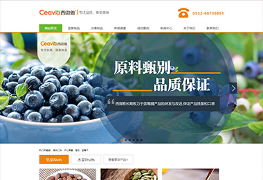 石家莊食品標(biāo)志設(shè)計_石家莊食品標(biāo)志設(shè)計公司